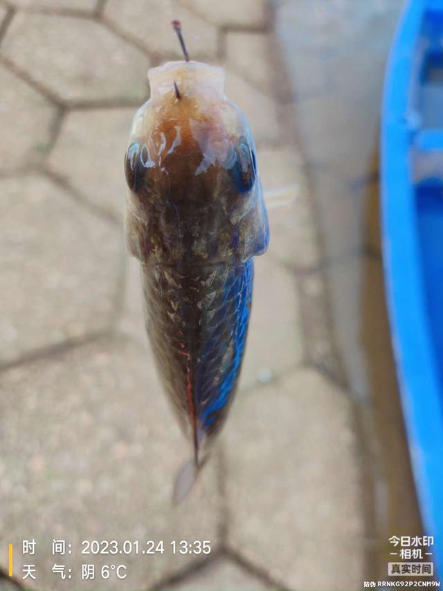 |痛并快乐!过瘾也留下遗憾美