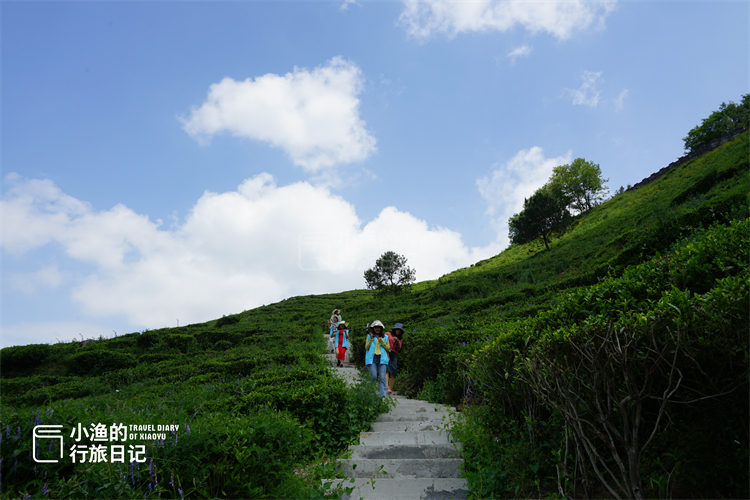 自驾|自驾210国道,我来到了川陕交界!坠入绿野仙踪的秘境