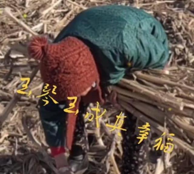 老明星|85岁马玉琴晚年凄凉!年入200W,还去地里捡柴,李成玉直呼真幸福