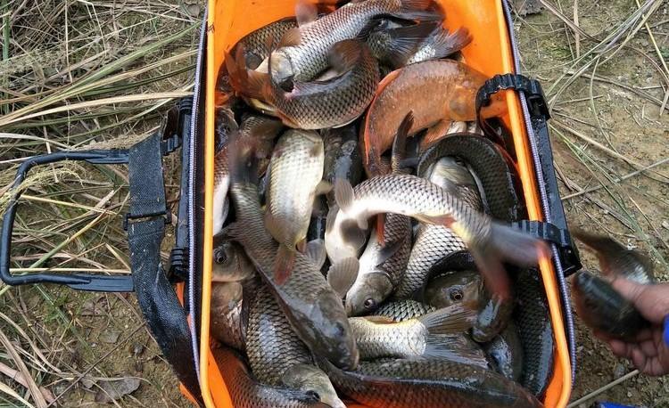 教师|女教师谈起钓鱼的老公,湿了眼眶:钓鱼让他变了一个人