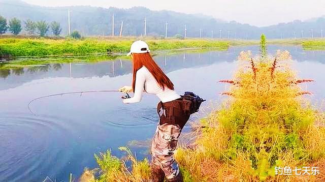 |垂钓圈的邪风!网红穿“超短裙”钓百斤大鱼,真钓鱼还是打擦边球