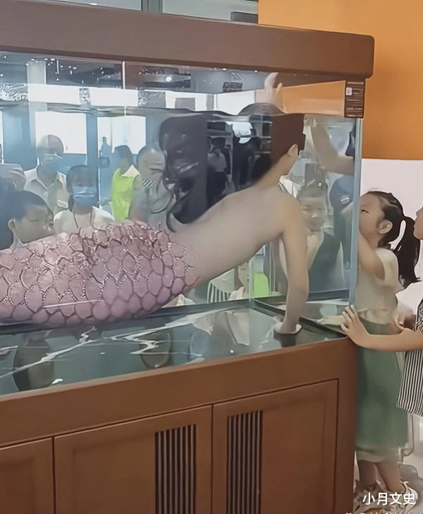 妙龄女子衣不蔽体上演“性感人鱼秀”,有人讽刺,有人乐津津欣赏