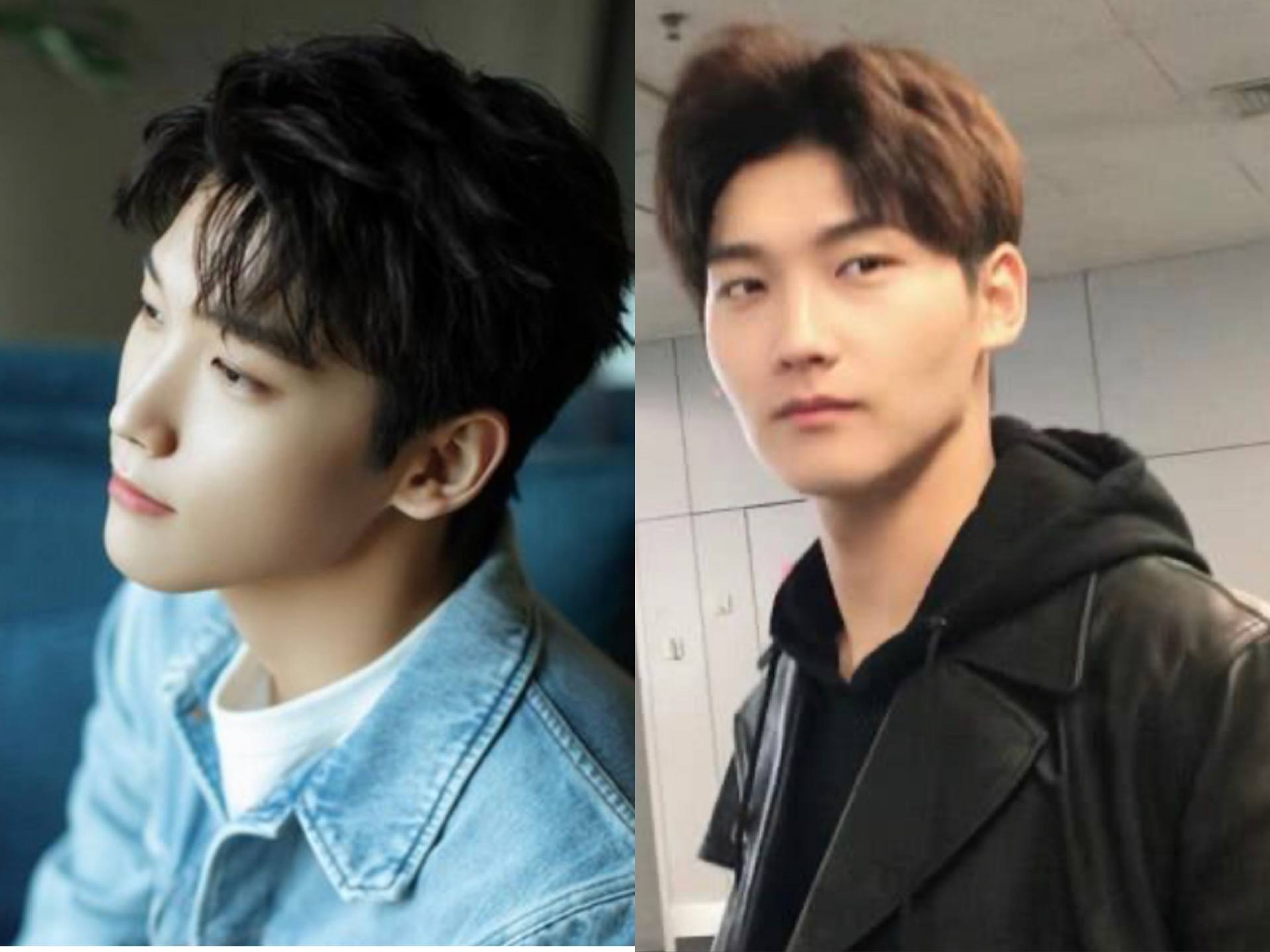 赵丽颖|明明长得很像,却一个惊艳、一个“路人脸”,问题出在鼻子上?