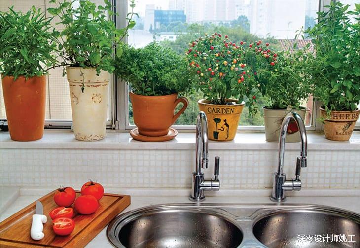 迟早有一天,我也能在厨房这7个地方种上蔬菜,自给自足超省事