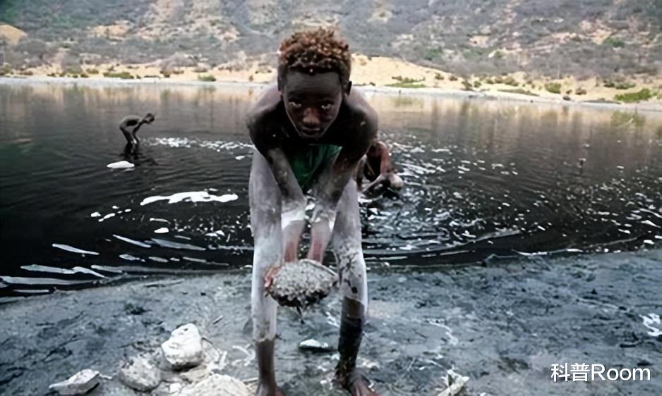 肯尼亚|天价食盐风靡肯尼亚，有钱不一定买得到，芦苇制盐有多神奇？