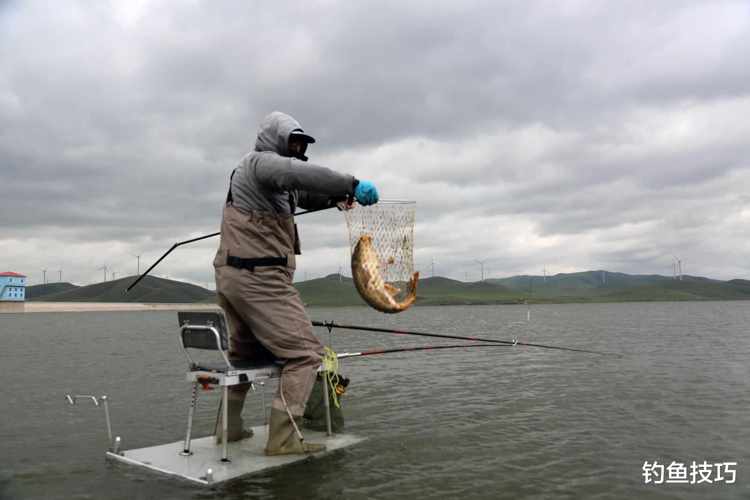 |为什么打窝过多会导致死窝?打窝量和诱鱼效果的关系