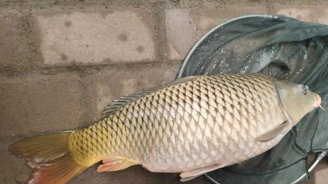 |比空军更难受的事，是同伴钓到鱼了！盘点钓鱼人的那点“坏心思”