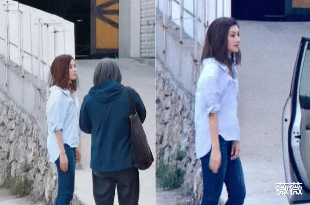 李嘉欣|49岁李嘉欣大胆秀恩爱！应酬生图遭曝光，网友：美人毁于发胖