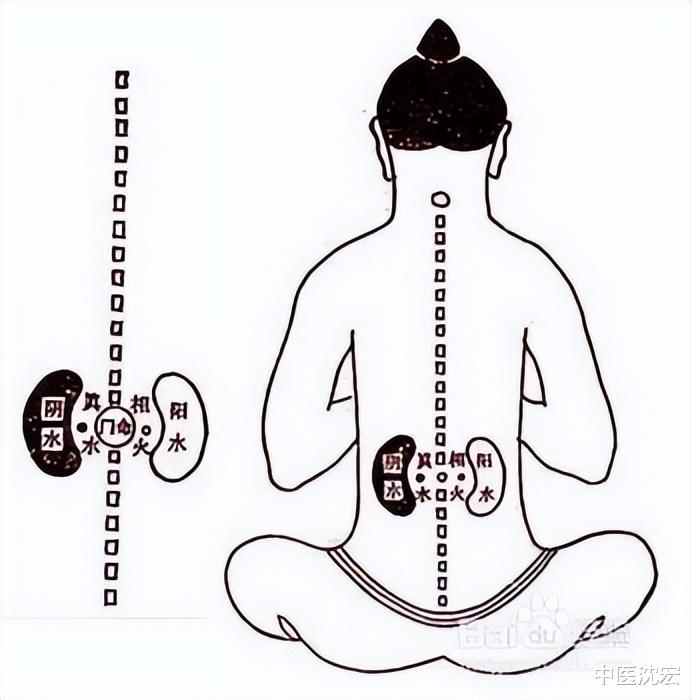 医生|阴阳两虚？一个方子2味药泡水，一味补阳，一味补阴，阴阳双补