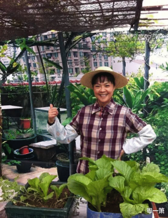 80年代|80年代广东电视台的四朵综艺之花，她们见证广东电视台曾经的辉煌