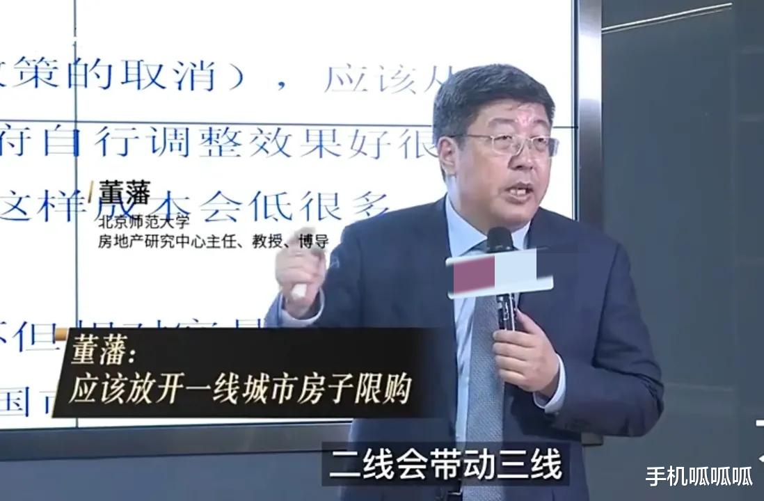 房价|不生孩子怪房价？借口而已！