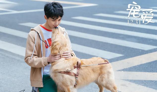 徐峥|徐峥新片虎口夺食！票房6连冠不说，更是创造了国产新纪录！