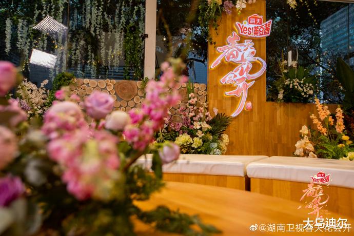 春天花会开|为什么《春天花会开》热度不高?想到什么就说什么吧,您怎么看?