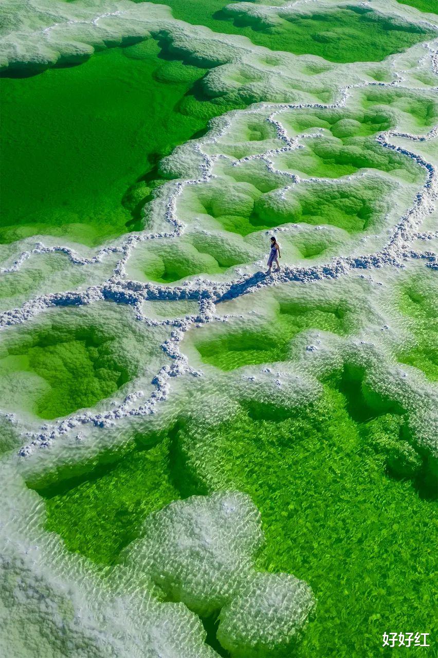 古镇|一半是鲜花、一半是美女，再过30天，这个五彩斑斓的省份，就美疯了！