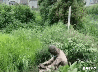 鱼竿炸裂成棉絮状!四川男子钓鱼时触碰高压线,正在监护室抢救!