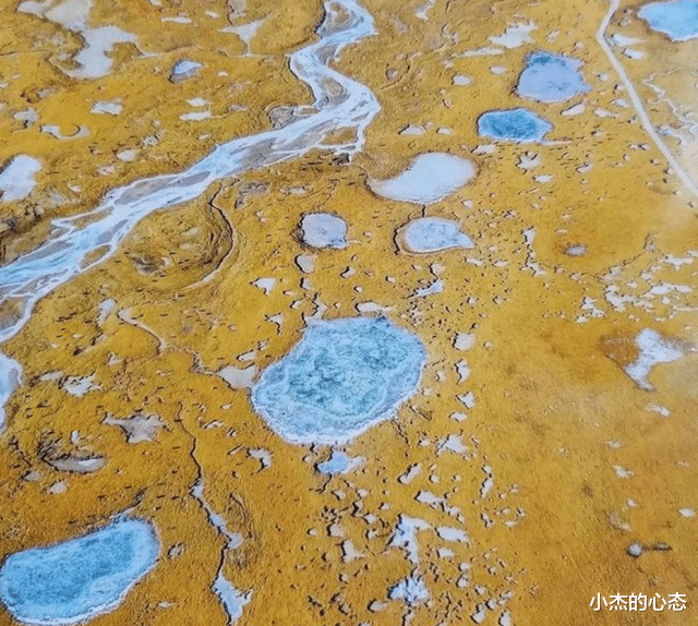古生物尸体从冻土层中被发现,距今或已有5万年,隐藏危险信号