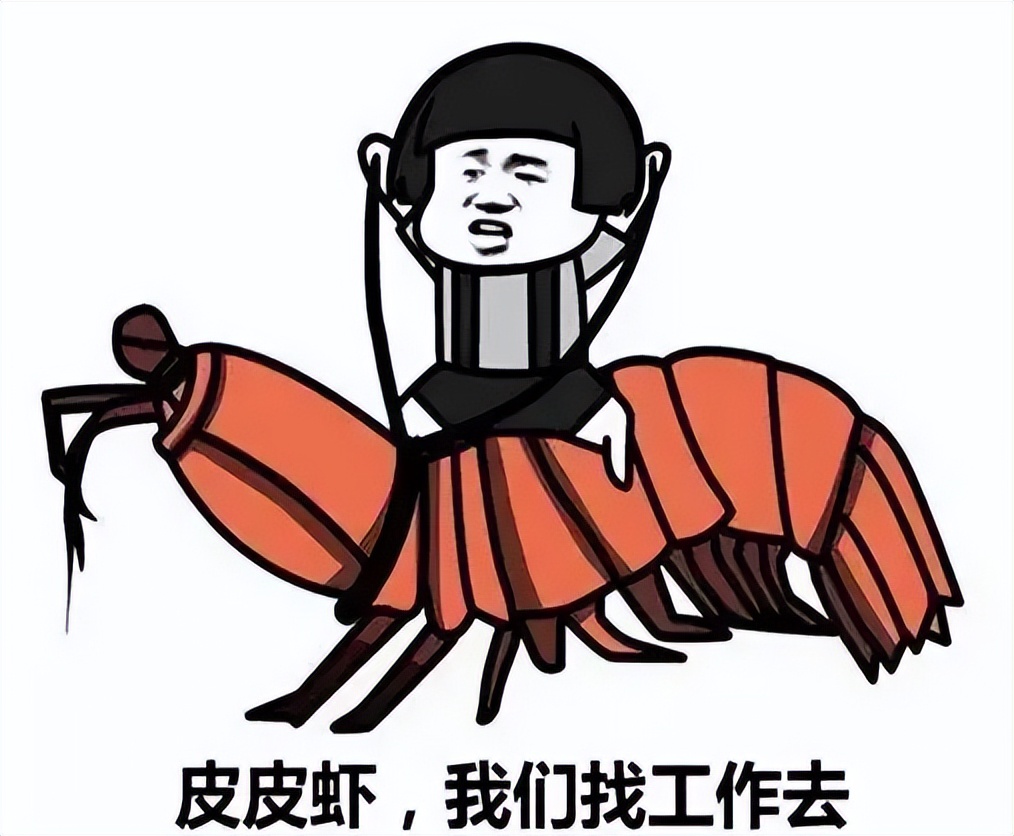 00后|让求职不再难,县级城市招聘更简单,这里有几招