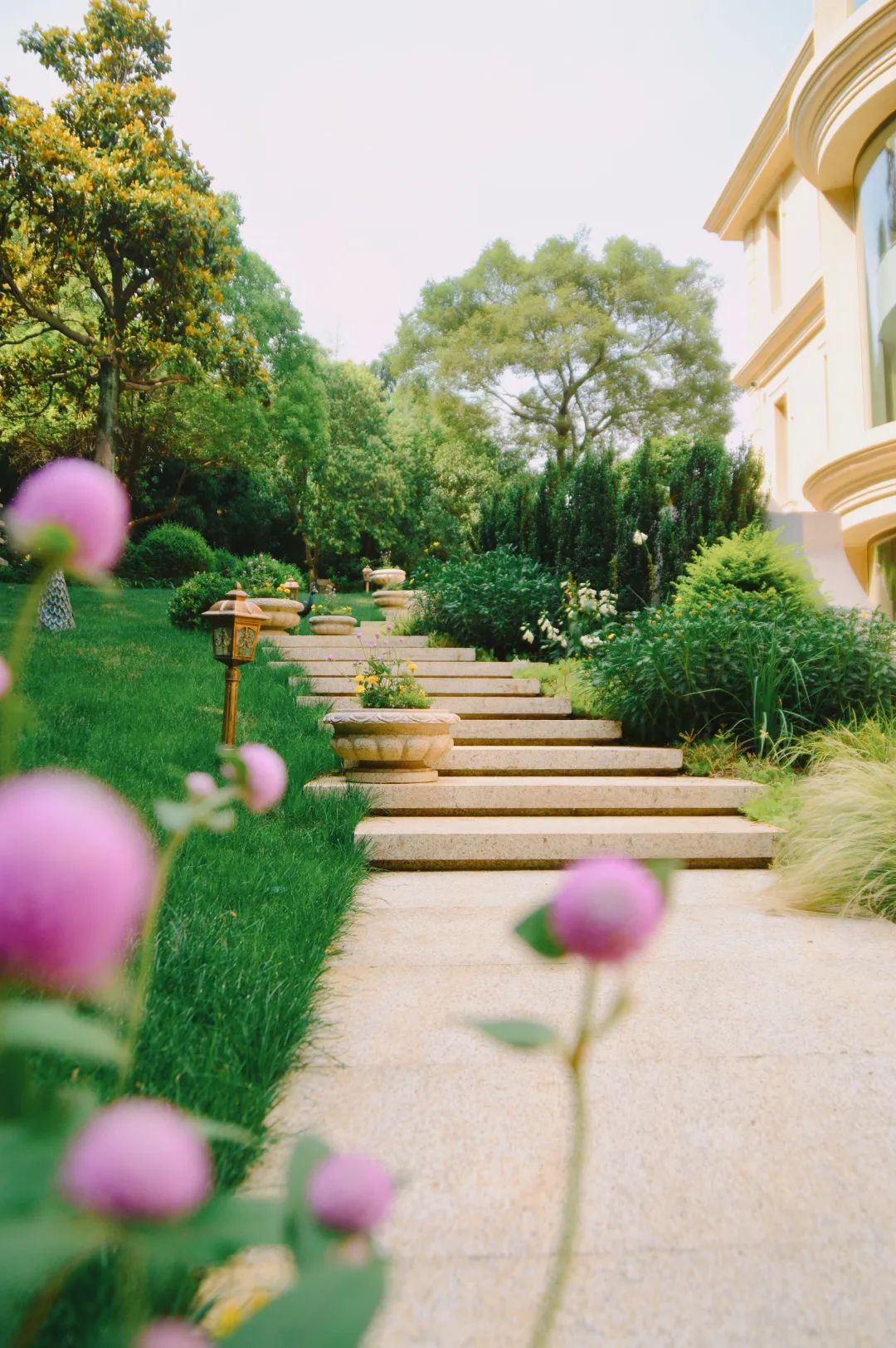 庭院设计|好看的台阶怎么设计?这篇文章告诉你