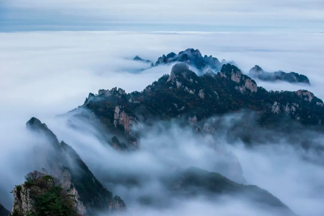露营|河南旅游：来看看今天老君山霸屏的云海究竟有多美！