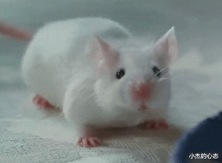 人类的大脑相当于多少TB的内存？可能一直以来都被低估了