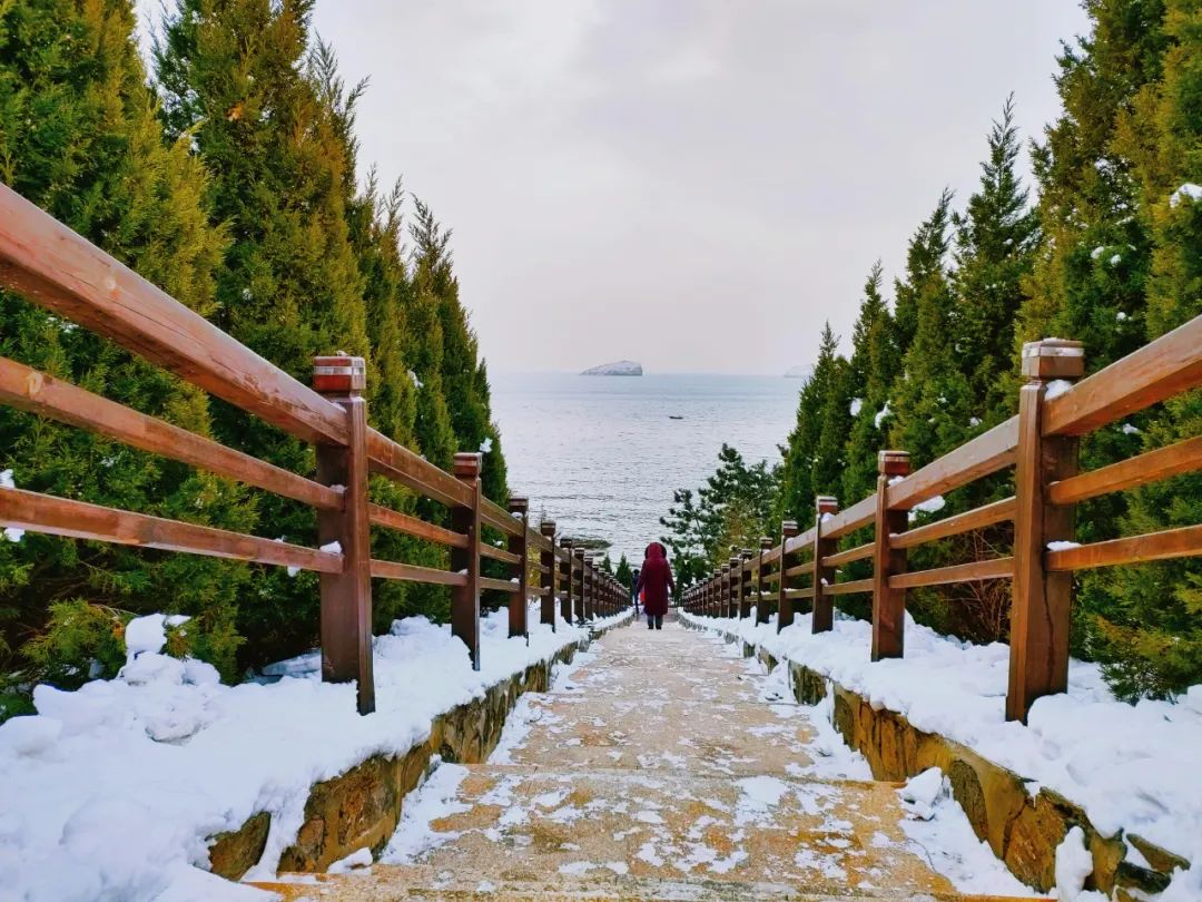 贵州|想去大连看海了