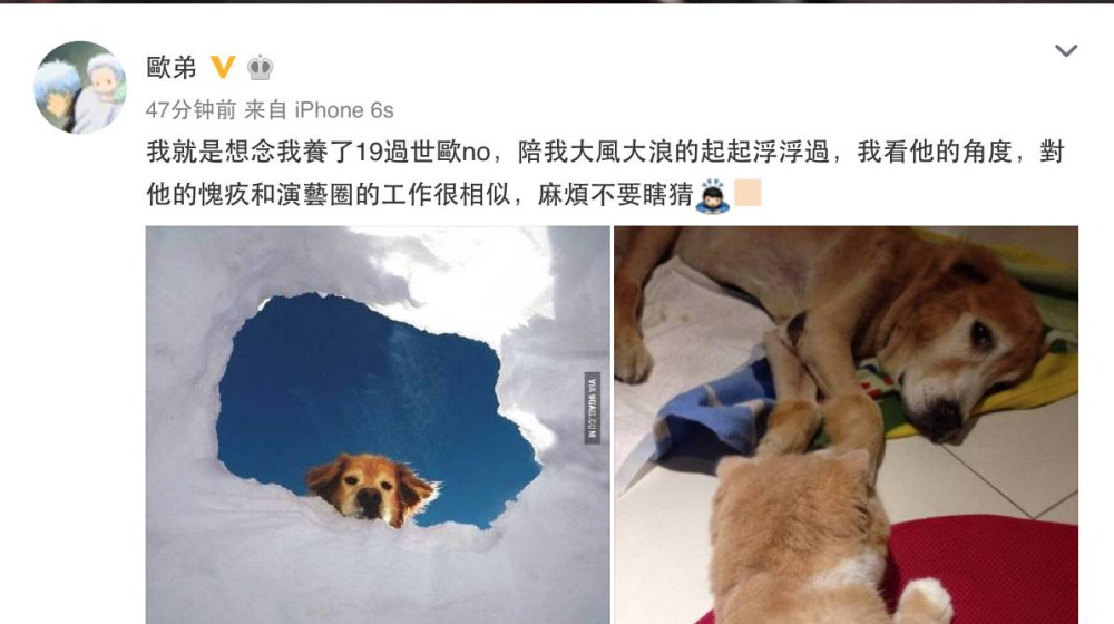 欧弟|离开《天天向上》6年后,欧弟现状只能用落魄来形容