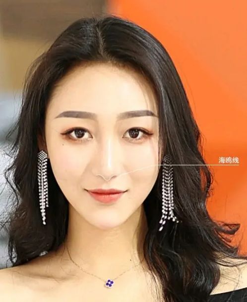 明星 好看的明星款美鼻都有哪些特点?
