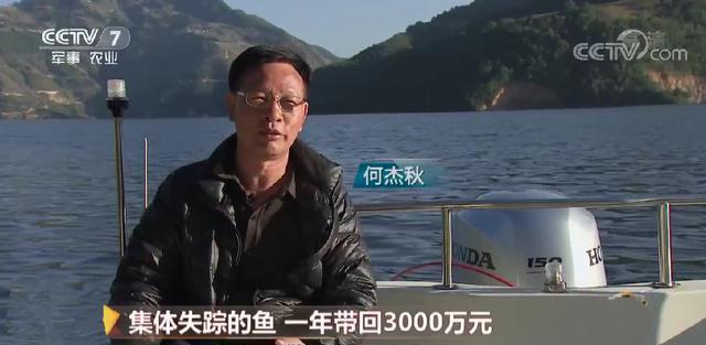2008年,老板投放6000万尾鲢鳙,鱼群集体失踪,10年后年入3000万