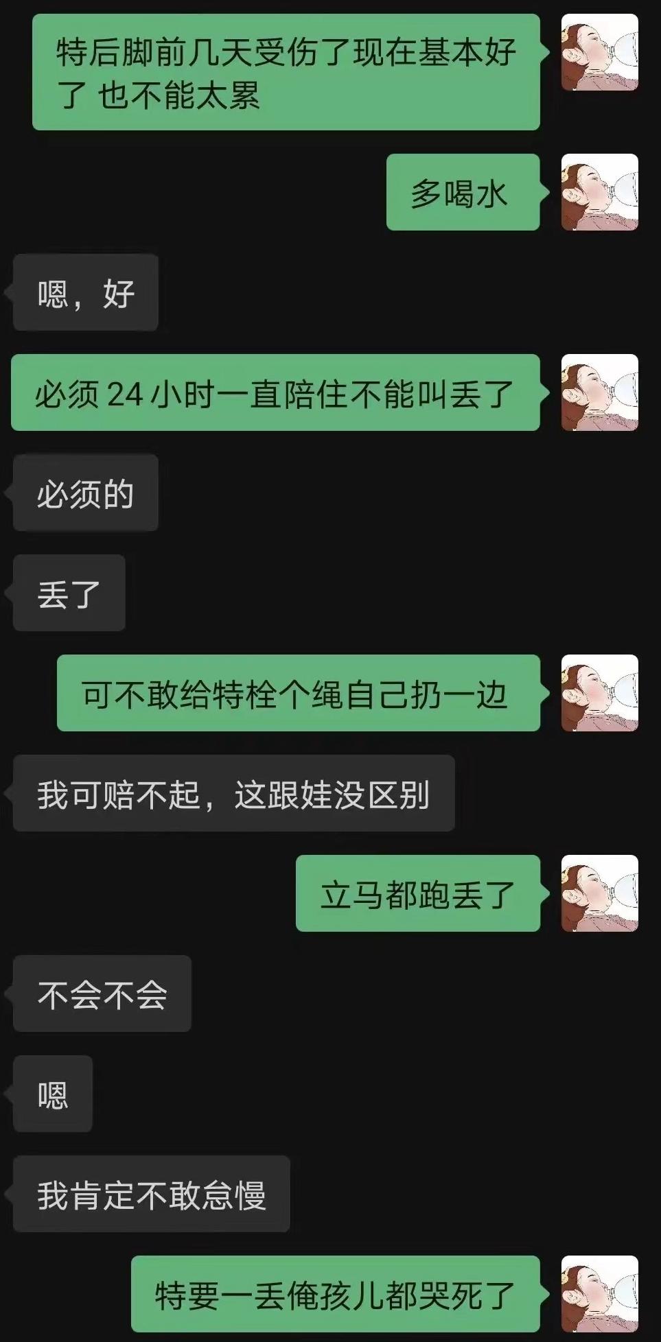 宠物医院|网友称爱犬在剧组拍摄离奇死亡，满嘴泥沙跟血，剧方回应被批凉薄