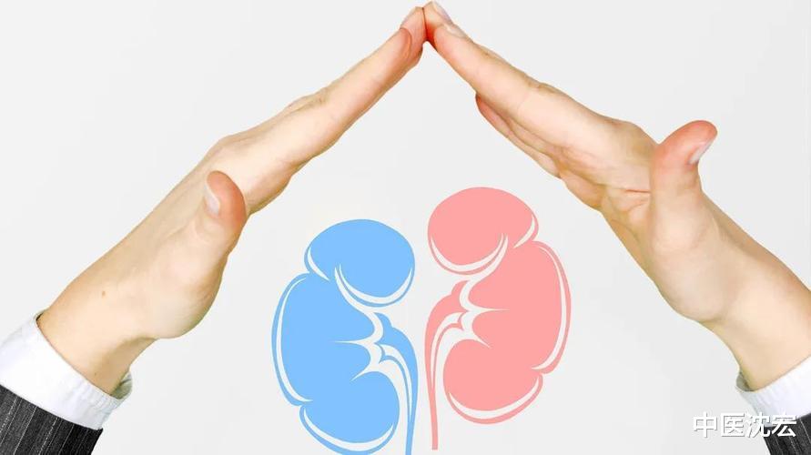 补肾|张仲景千年古方,补肾填精,化解精关不固,时间短,遗精