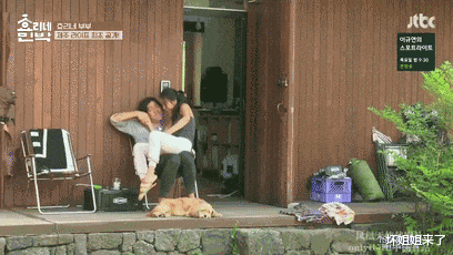 杨振宁|杨振宁翁帆一张近照刷屏,他们的恩爱方式打脸多少人