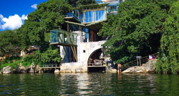 杨丽萍|“人间仙子”杨丽萍:为了减肥拿掉6根肋骨,41万的饭局上就吃玫瑰