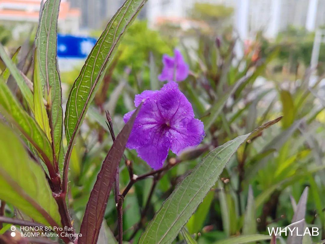 华为荣耀|荣耀 80 Pro 直屏版:这会是荣耀最好的直屏手机吗?