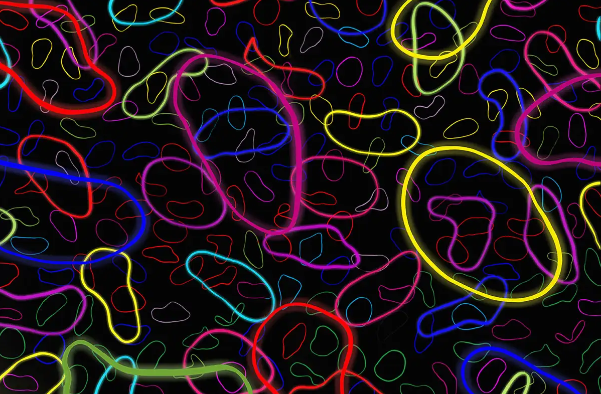 物理学中所有真正伟大的思想,都是超弦理论的“派生物”