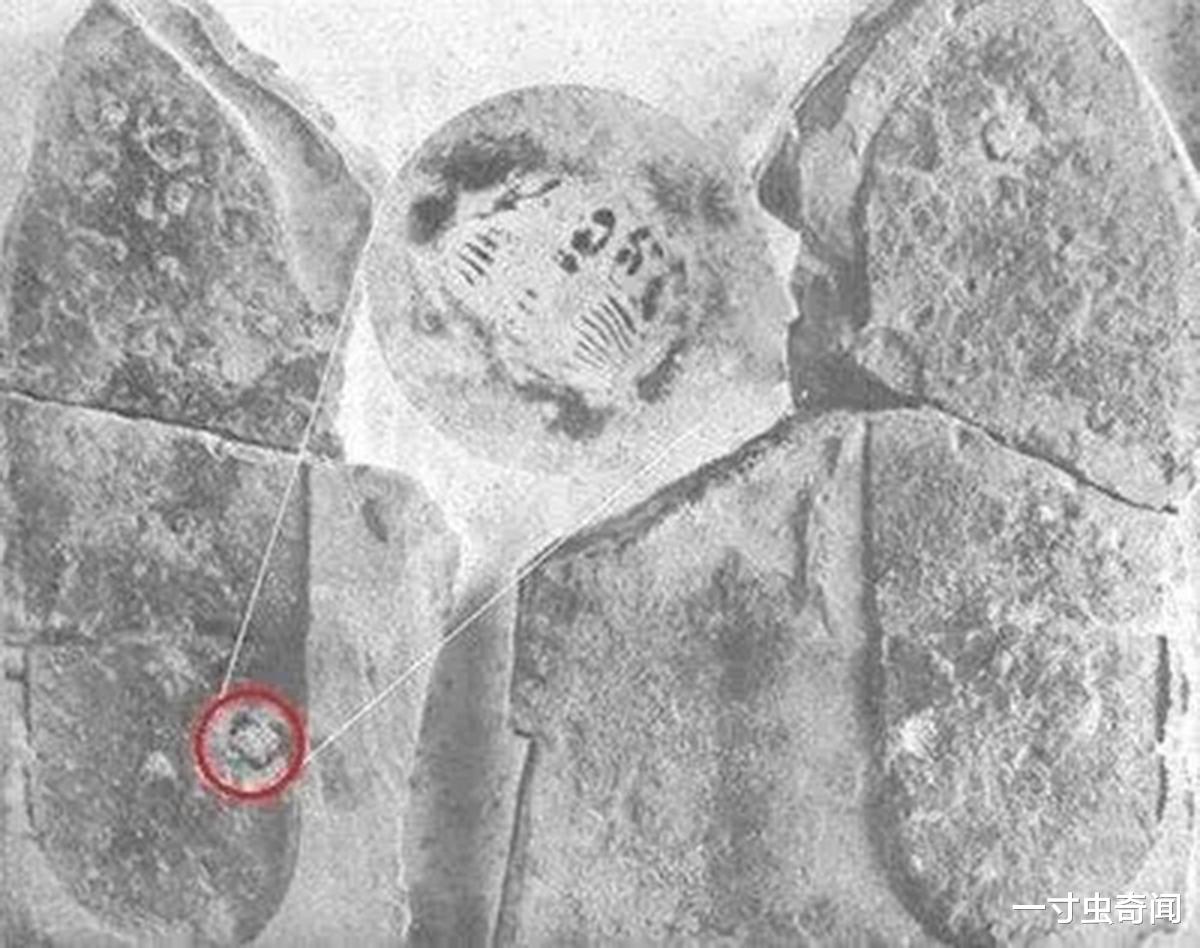 1513年的南极洲地图?60万年前的火花塞?史前文明真实存在过吗?