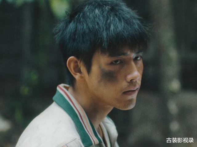 猫头鹰|《淘金》猫头鹰究竟是谁？秋姐为什么调查陈保金？