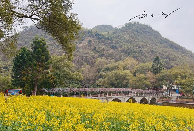 海岛|广东有一处宝藏4A景区，被称作“广东版桂林”，游客：好看又好玩