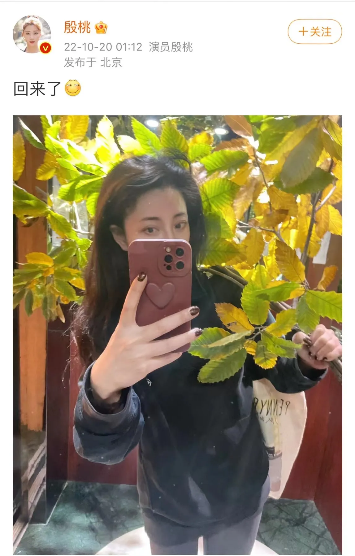 殷桃|殷桃半夜发文！