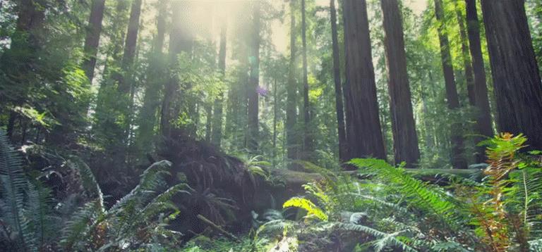 跳出三界外的“太岁”，究竟是什么？生物也能违背生命规律？