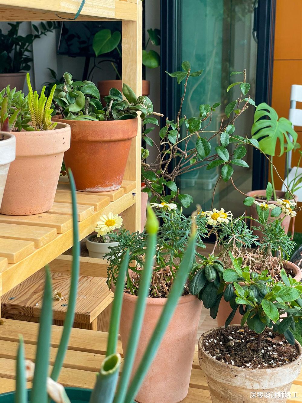 也只有年轻人能干这样的事儿吧!室内铺满绿植,就像进入“森林”般