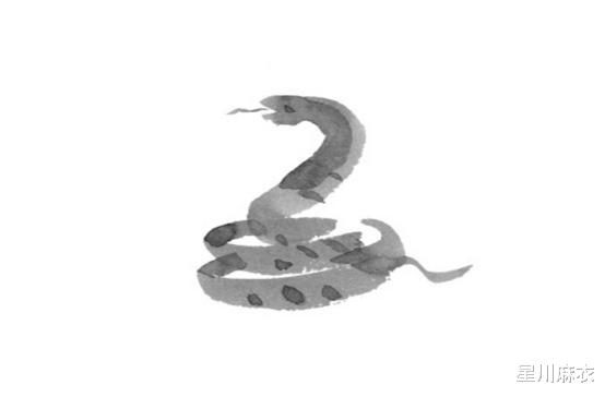 生肖|3月职场步步高升，事业红红火火的生肖，强运来袭，稳扎稳打