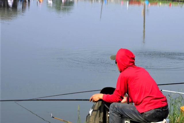 智商税|冬天钓鱼找不到鱼窝？遵照“温饱”二字，好钓点任你选