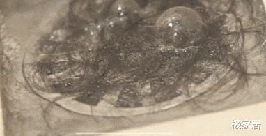 下水道堵塞用热水冲?错!教你这么做,管道疏通无异味