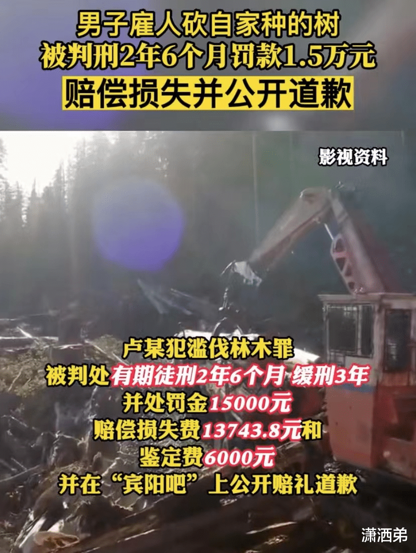 男子砍自家种的树被判2年六个月,还需赔偿损失并公开道歉。