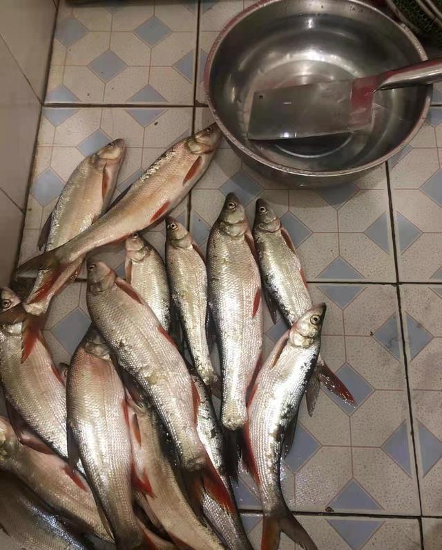 |爆护和走空都能让你戒钓,原因其实很简单