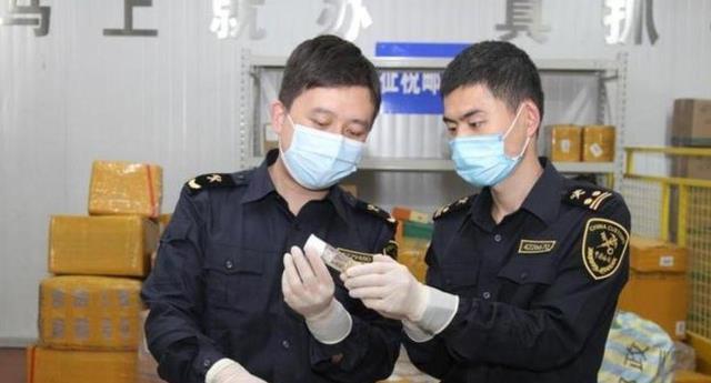 中国海关曾查获“神秘”包裹,内含7000余只黑腹果蝇,有哪些危机