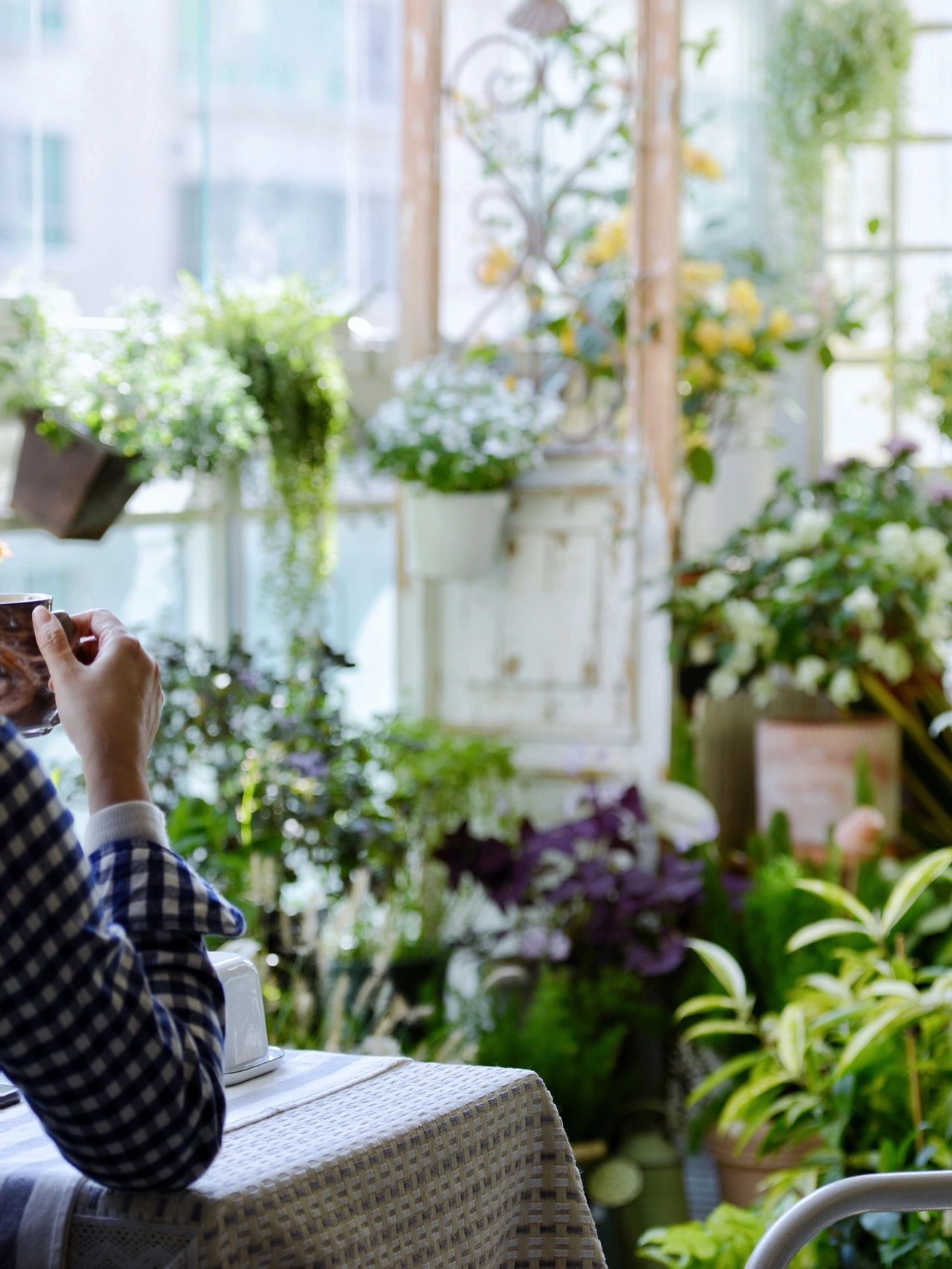 住了10年的小阳台,DIY改造成四季如春的“阳台花园”,太漂亮了