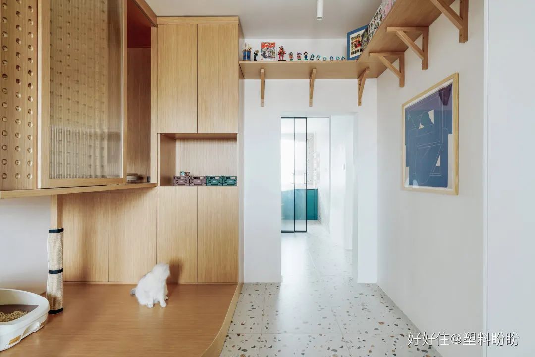 独居第13年:她买下59㎡老破小,打造成完美一人居