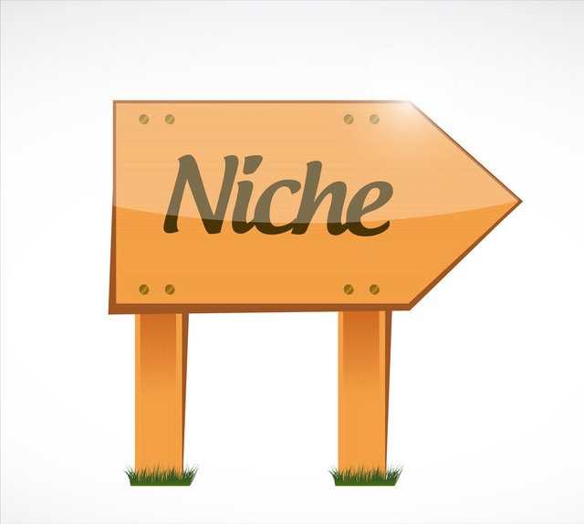 亚马逊|我用1个案例告诉你，为什么新手卖家一定要关注小众品类