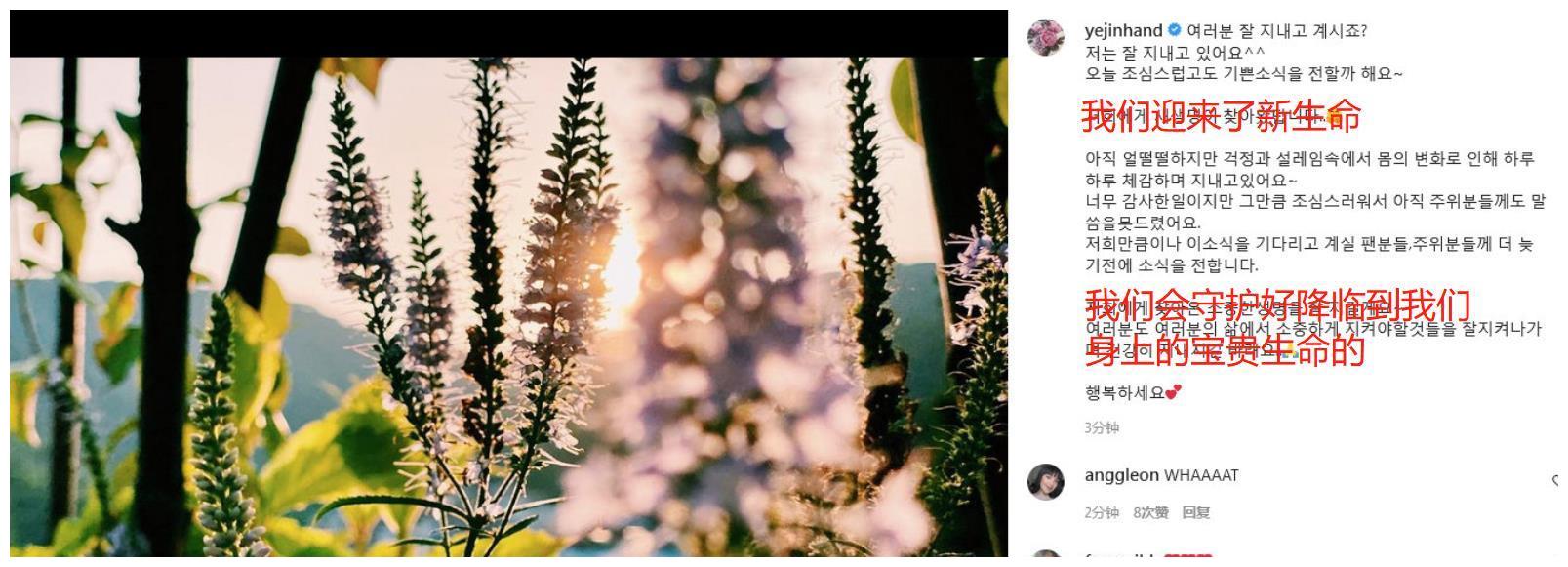 王鸥|1天6个瓜，宣布怀孕，强奸未遂，不幸离世，喜怒哀乐全有了